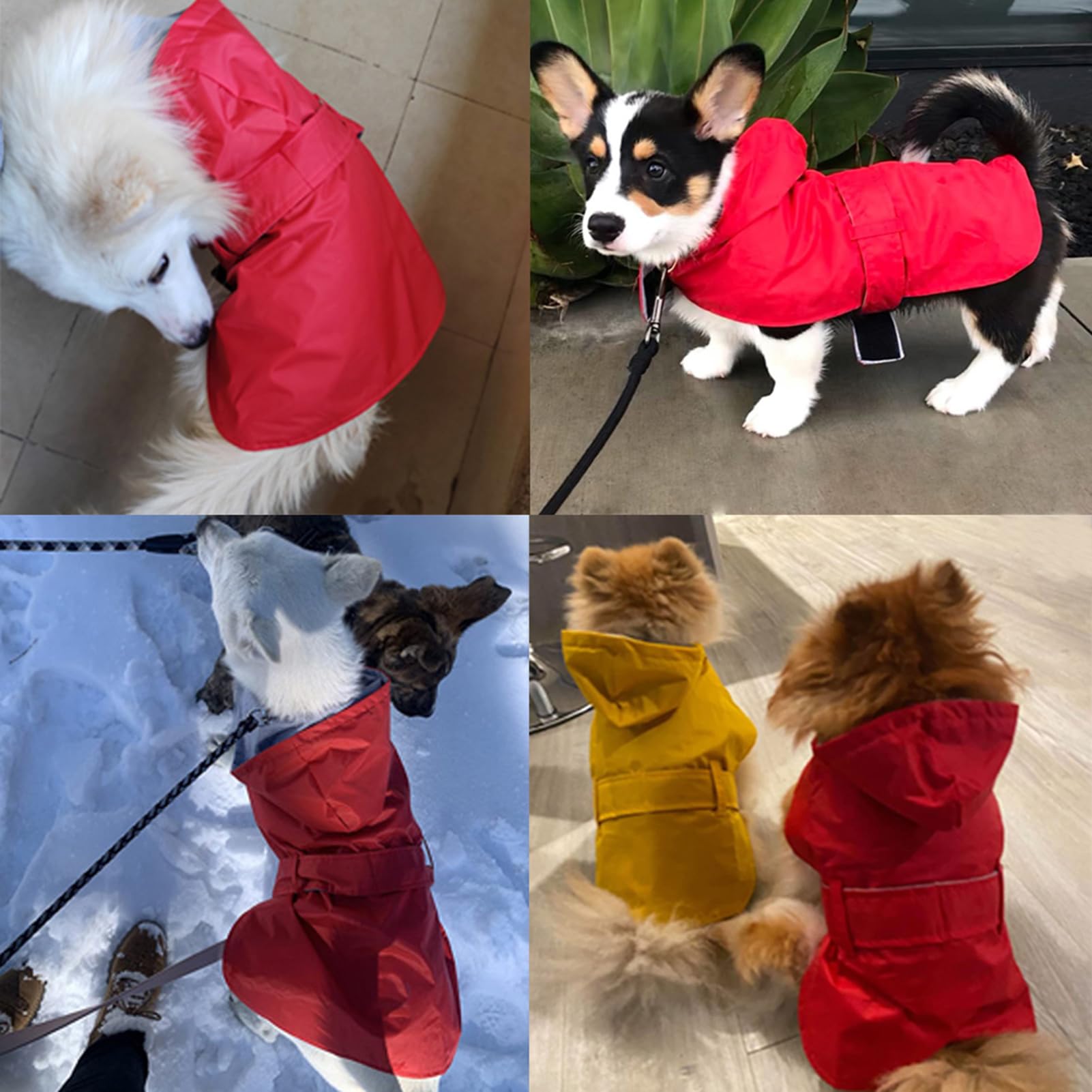 Uso diario de la capa BECNBEAU en caminatas urbanas bajo lluvia