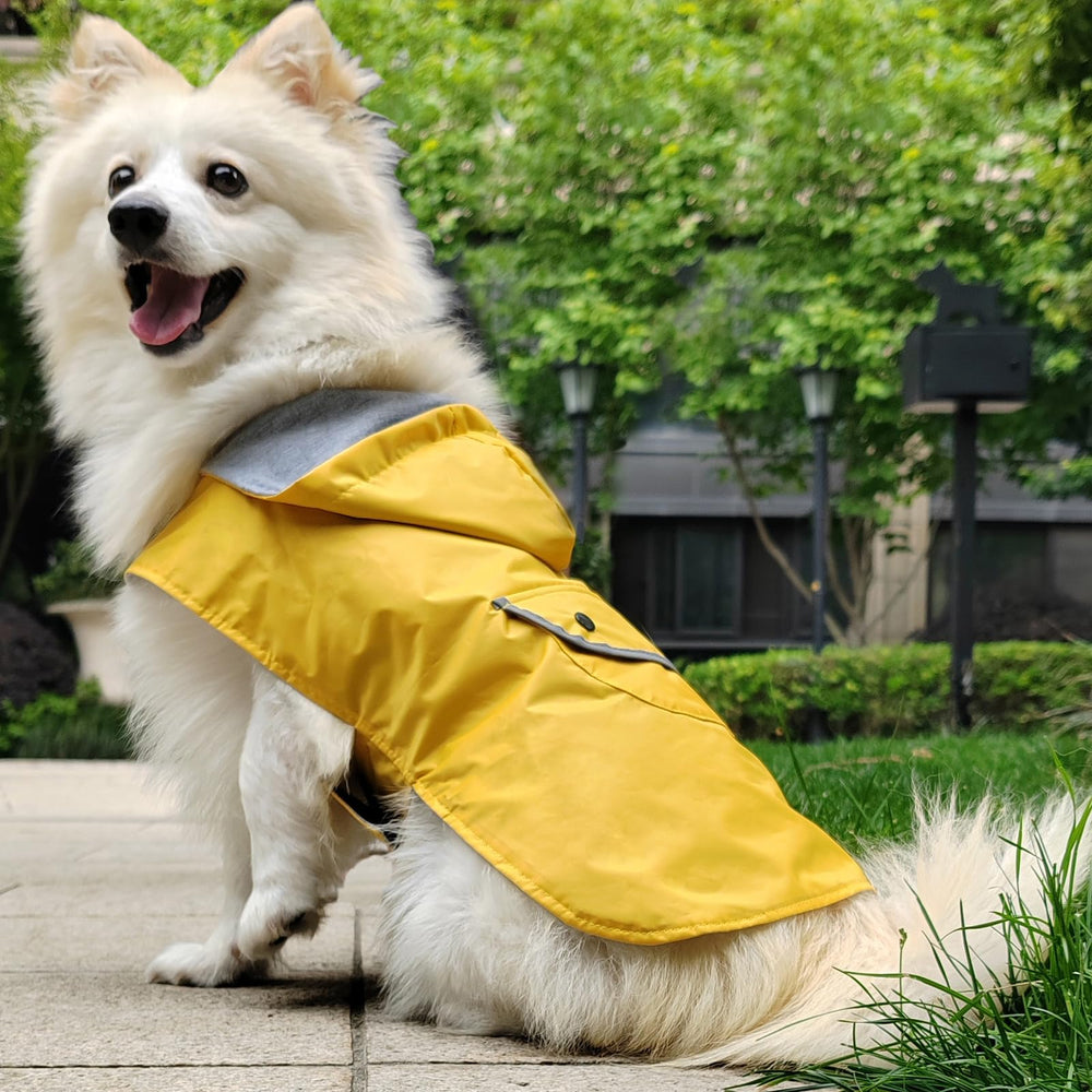 Diseño ultraligero que facilita el movimiento del perro.
