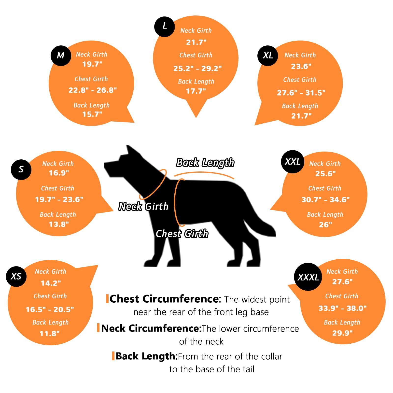 BECROWM abrigo-perro-dachshund-diseno-ergonomico, se adapta a cuerpos alargados.
