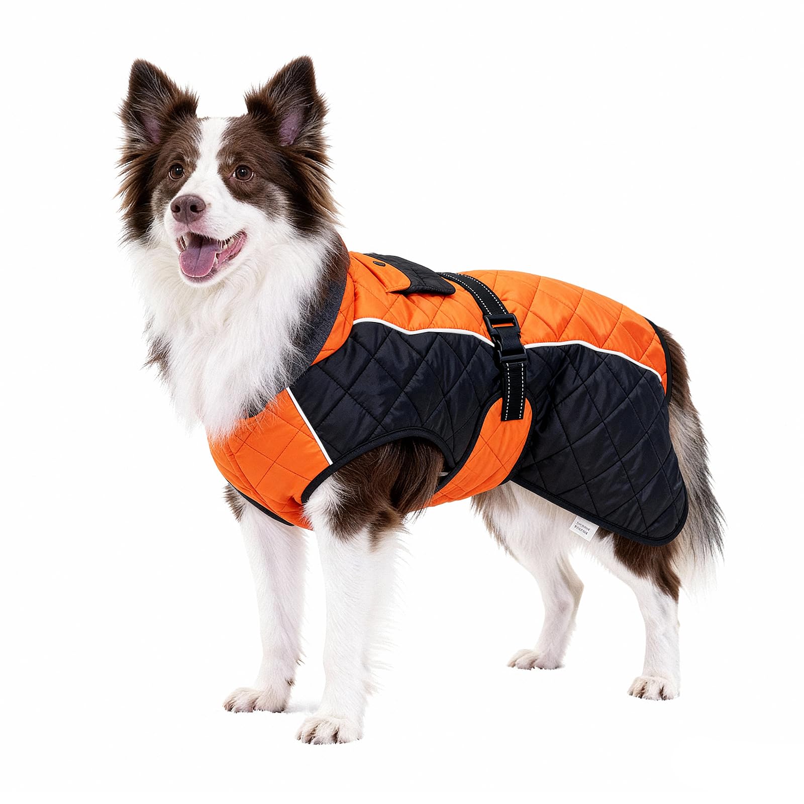 BECROWM abrigo-perro-impermeable-reflectante, ideal para paseos con lluvia leve.