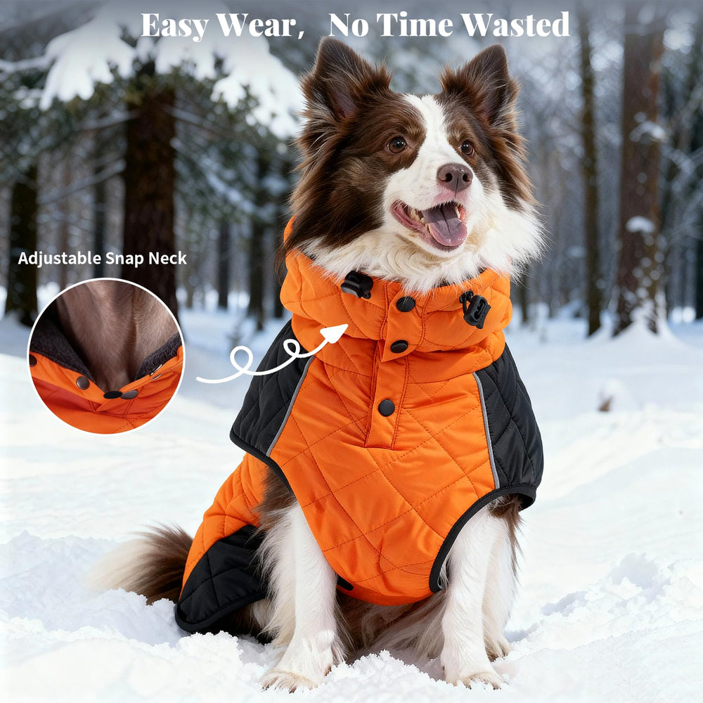 BECROWM abrigo-perro-viento-impermeable-calor-ligero, mantiene al perro cómodo.