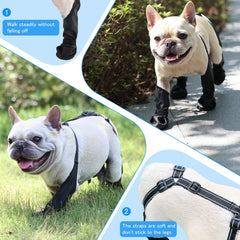 BECROWM ajuste doble con velcro para sujeción estable en perros pequeños y medianos.
