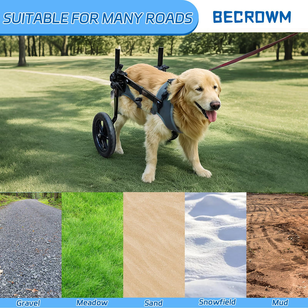 BECROWM silla de ruedas ajuste de altura, anchura y largo para mascota