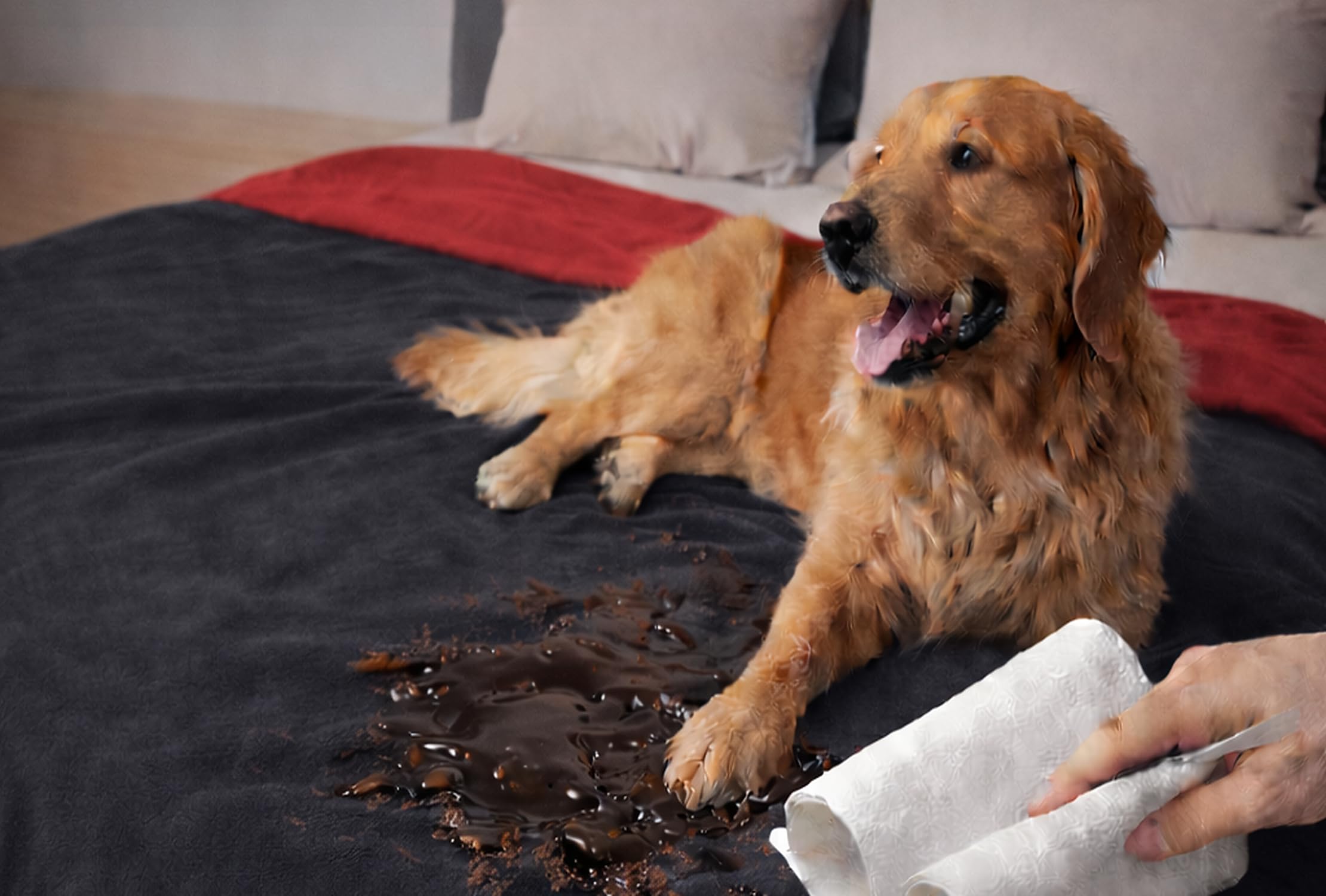 Manta Bedding Aid para mascotas, ideal para sofás y camas.