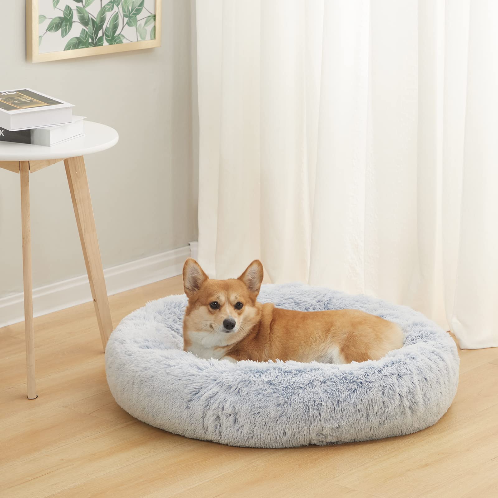 Bedfolks cama anti ansiedad, forma donut envolvente para perros medianos