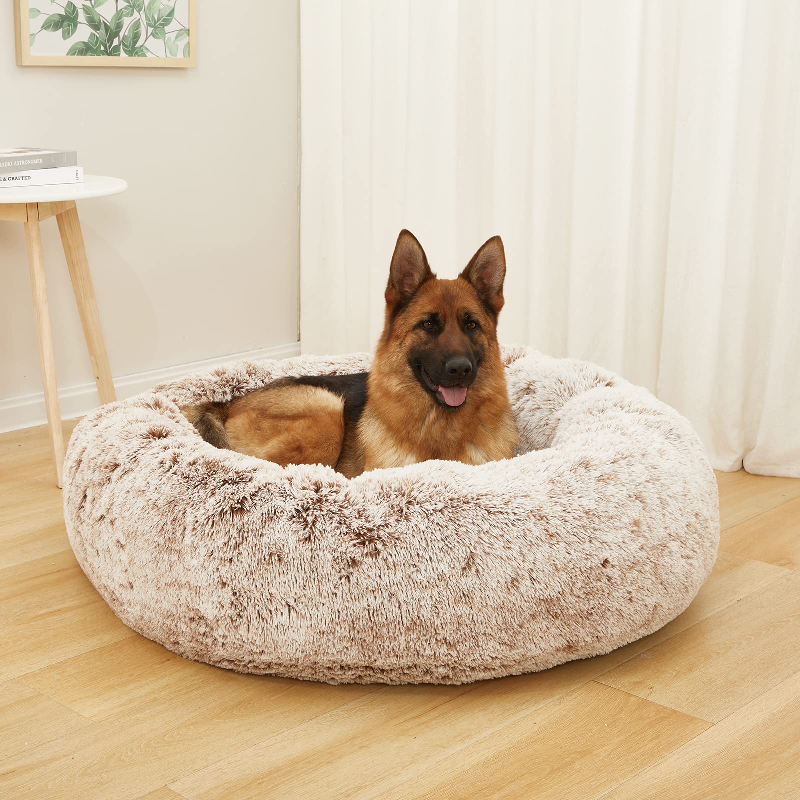 Bedfolks peluche marrón suave, cama para perro descanso cómodo