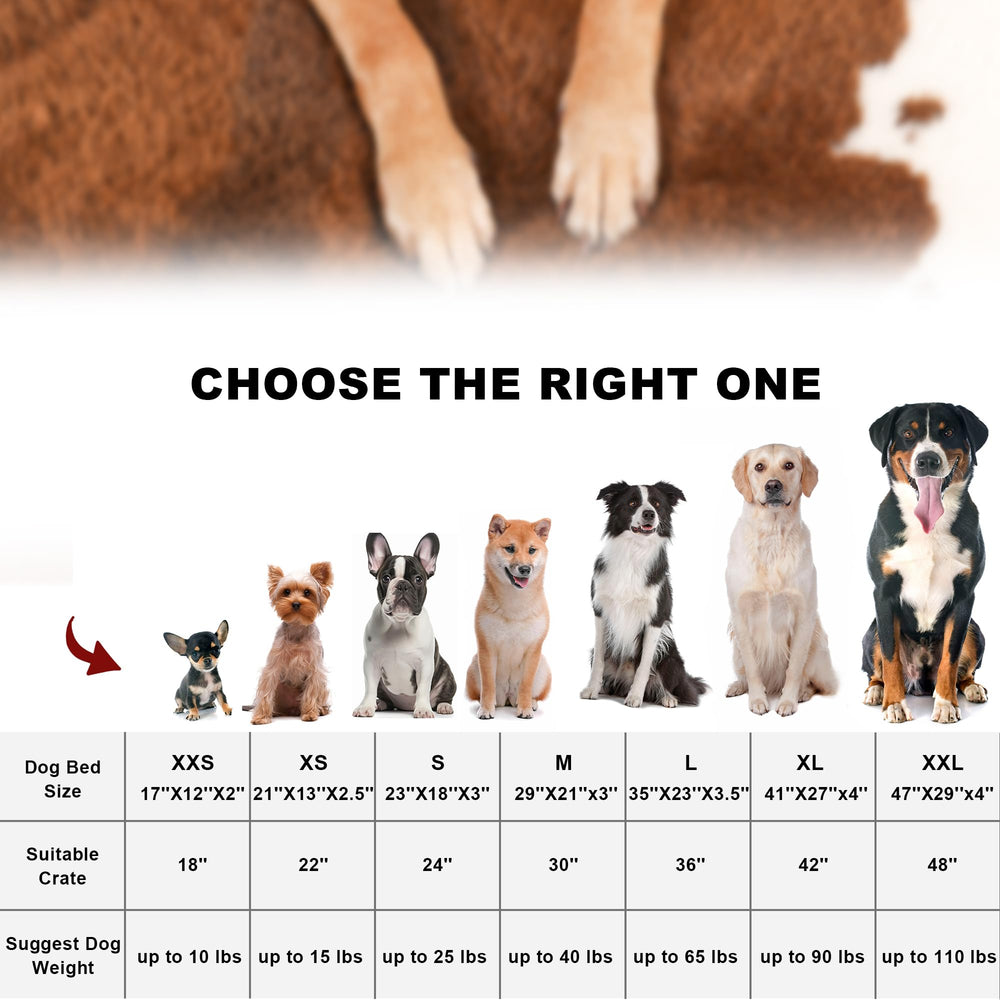Bedfolks confort-perro-grande-dormir, ideal para descanso diario