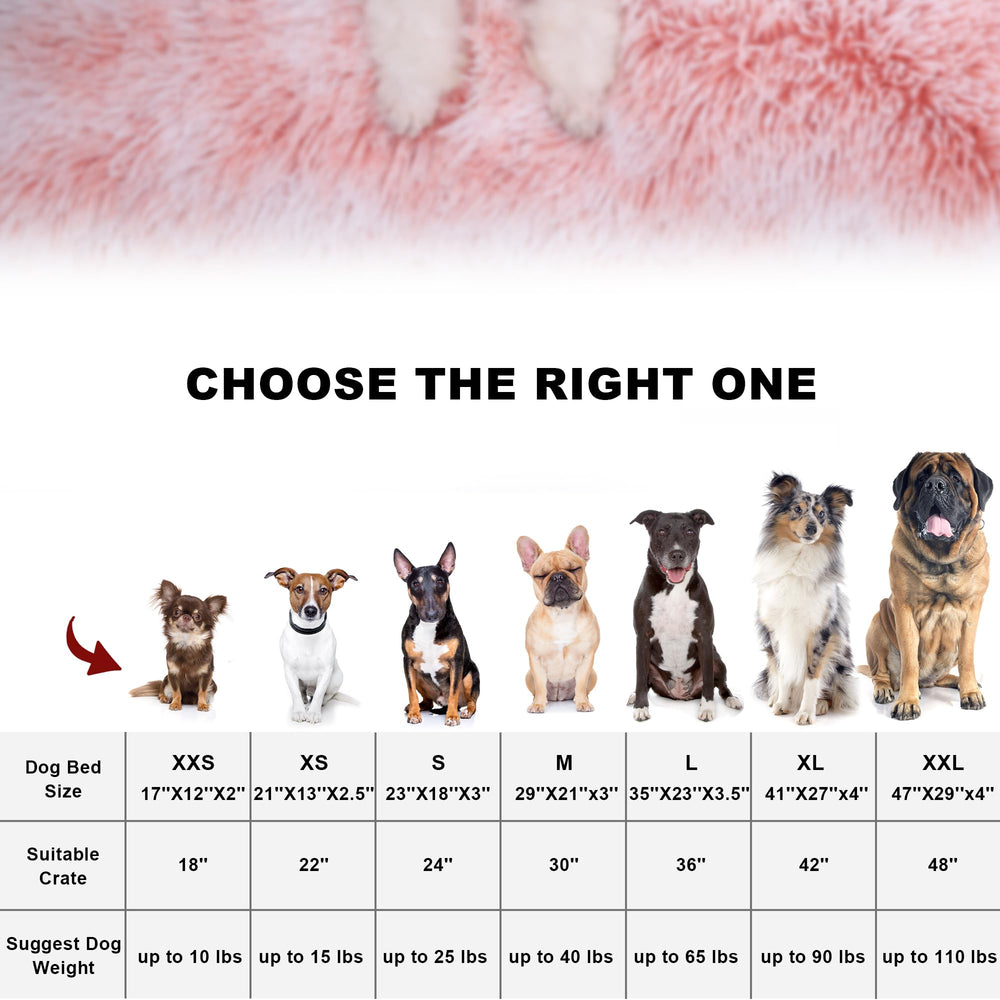 Bedfolks uso compacto para perros y gatos pequeños, perfecto para casa o viaje.