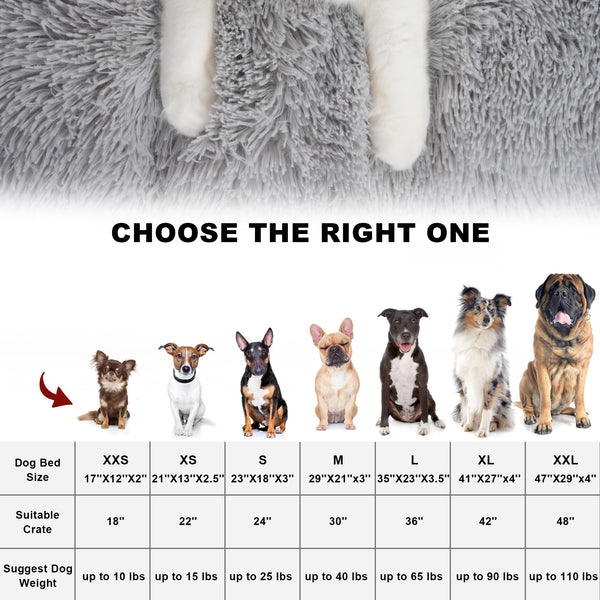 Bedfolks uso para perros y gatos pequeños, ideal para viajes y descanso