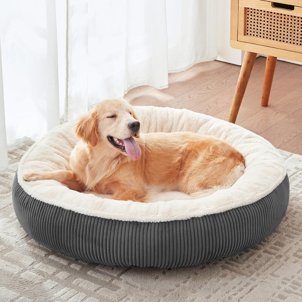 BedStill cama dona para perro grande, descanso cómodo y estable.