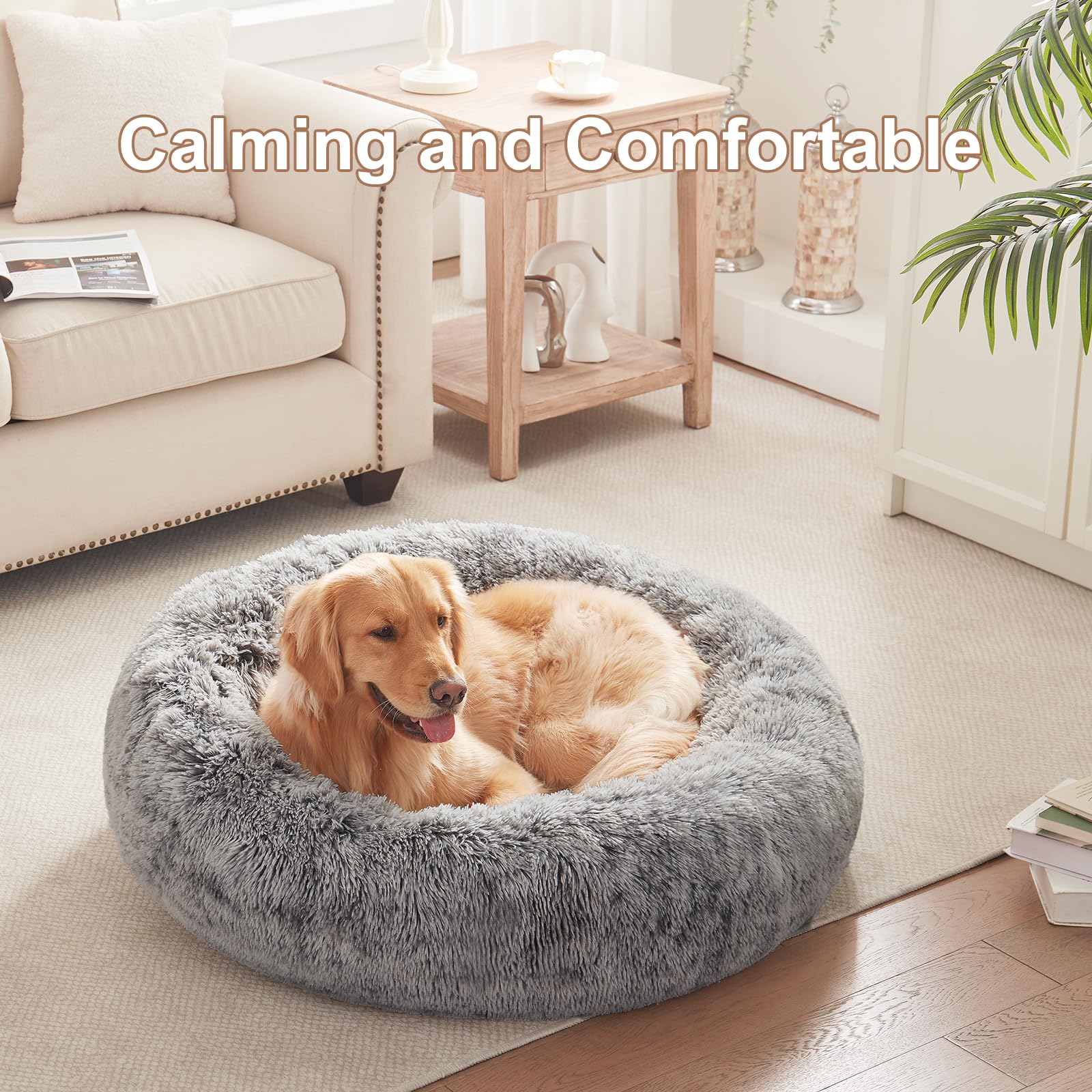 BedStill, cama para perro, forma de anillo, apoyo suave para articulaciones.