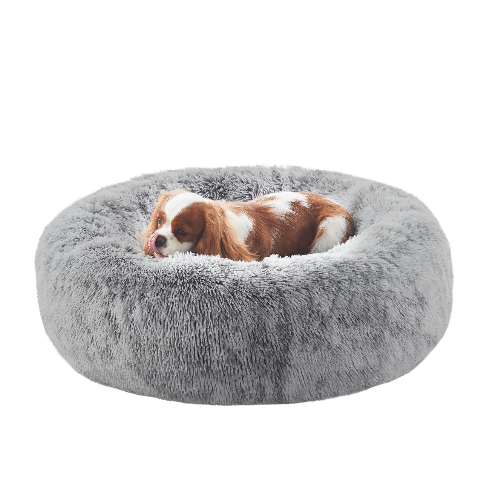 BedStill cama para perro rosquilla circular con bordes elevados para descanso seguro
