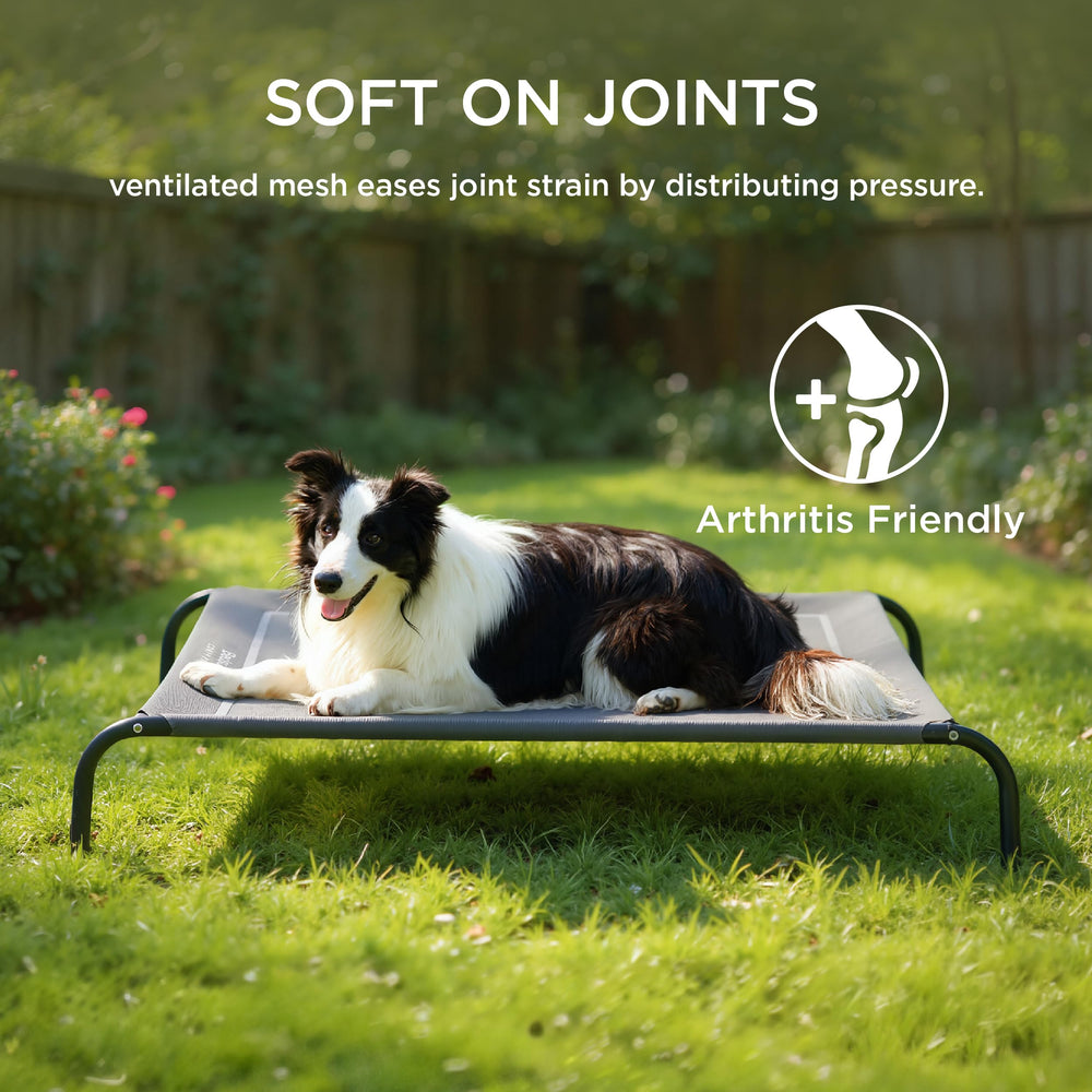 Bedsure cama elevable para perros, montaje rápido y transporte sencillo.