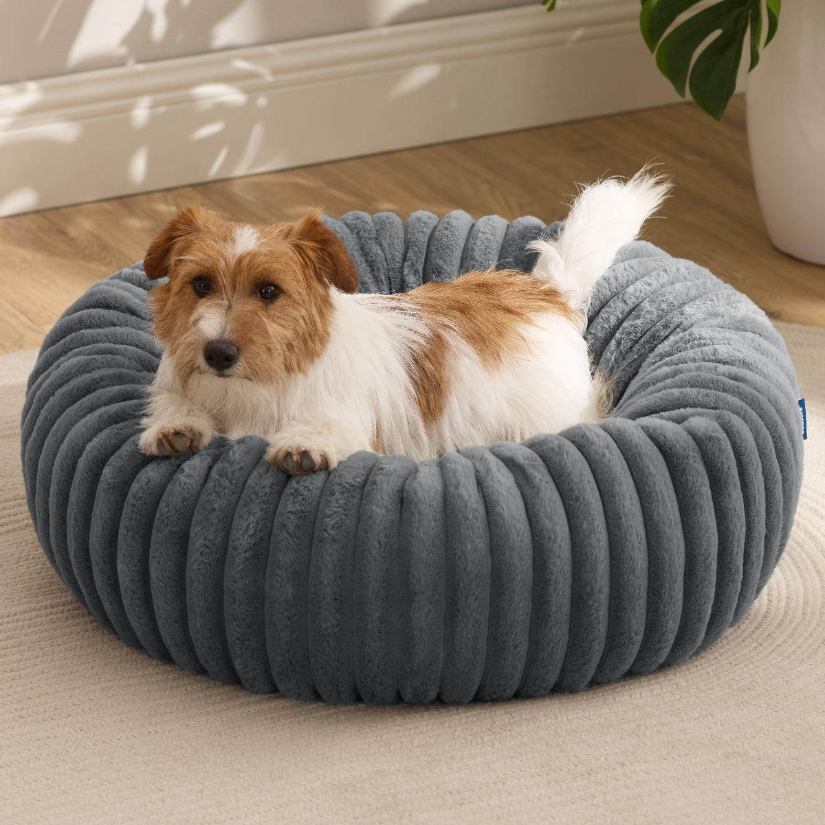 Bedsure cama donut para perro pequeño con pana afelpada, descanso suave y acogedor.