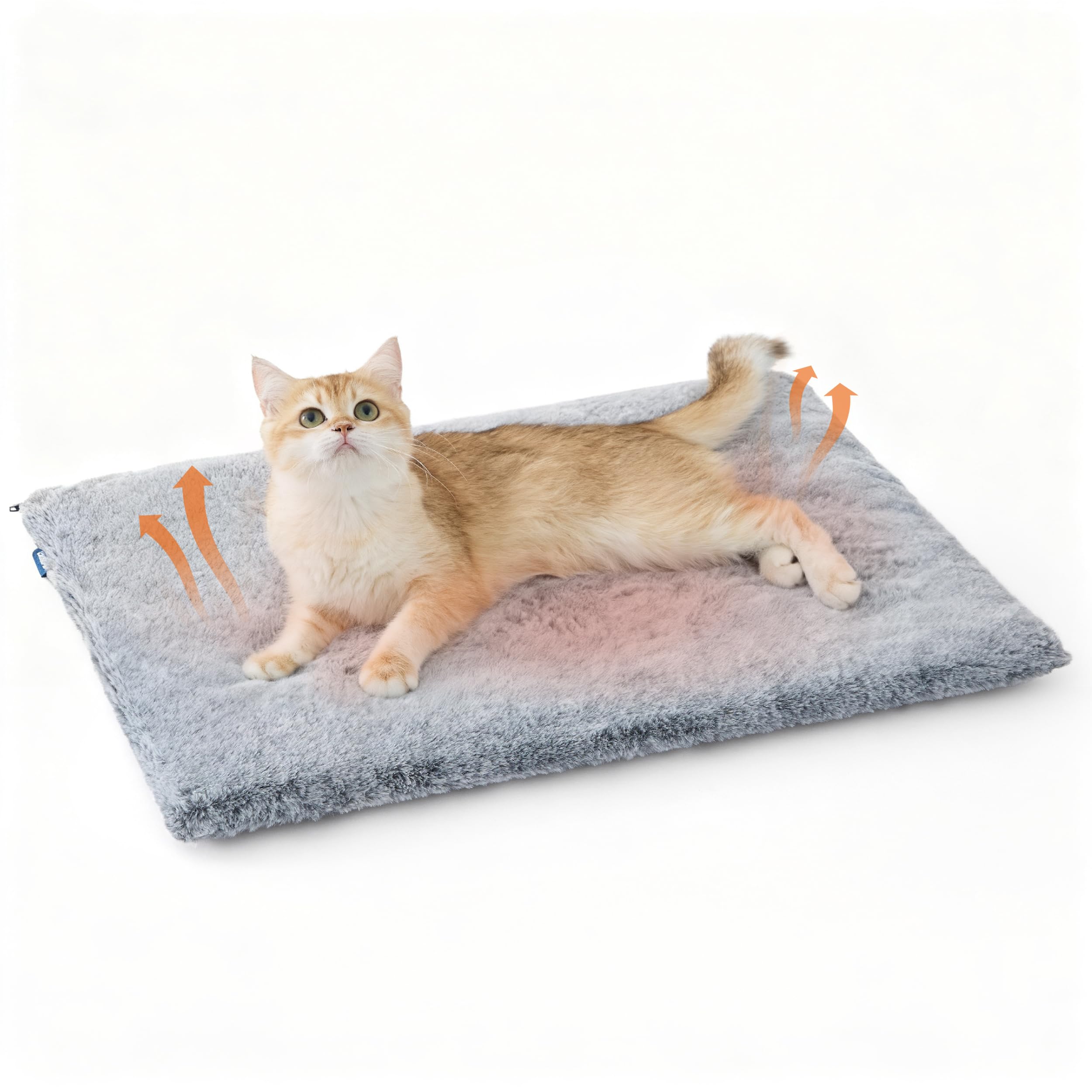 Bedsure cama-gato-autocalentante, confort cálido sin cables para tu mascota.