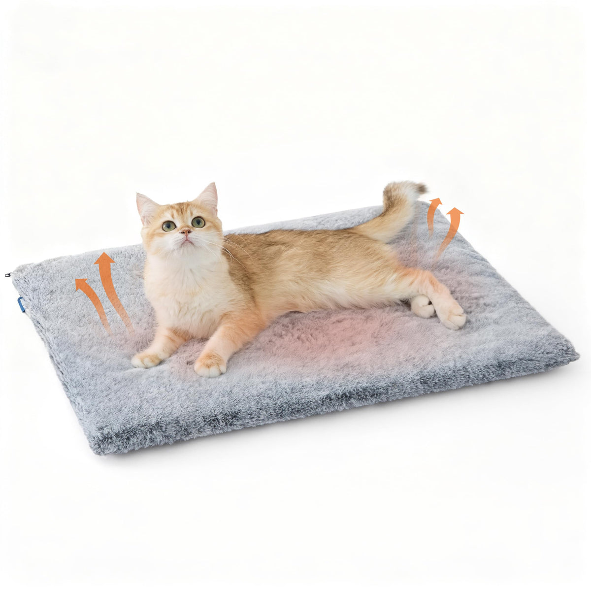 Bedsure cama-gato-autocalentante, confort cálido sin cables para tu mascota.