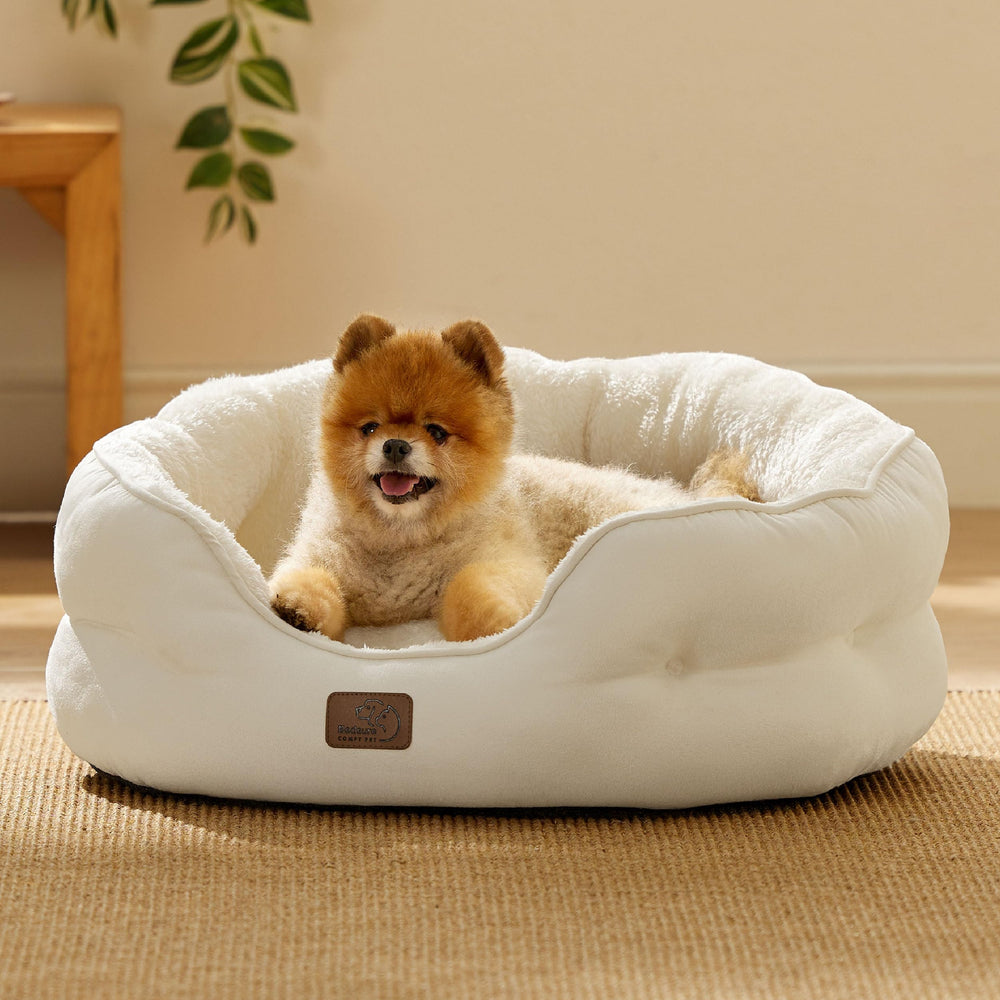 Bedsure cama para gato blanco con tejido suave perfecto para interiores.