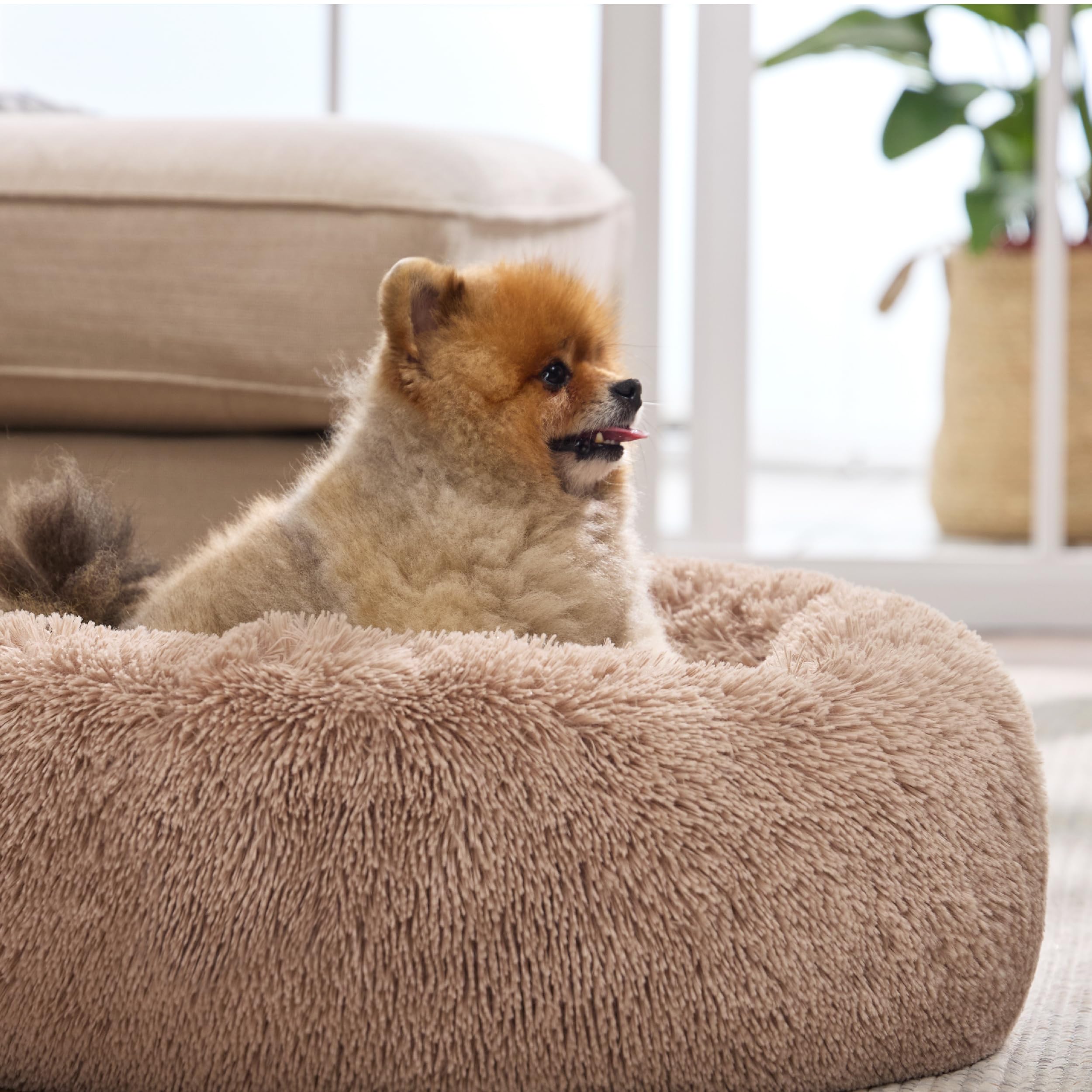 Bedsure cama gato: color camel neutro para armonizar espacios