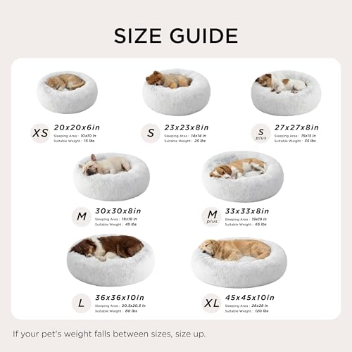 Bedsure cama para gato soporta mascotas de hasta 15 libras con estructura estable.