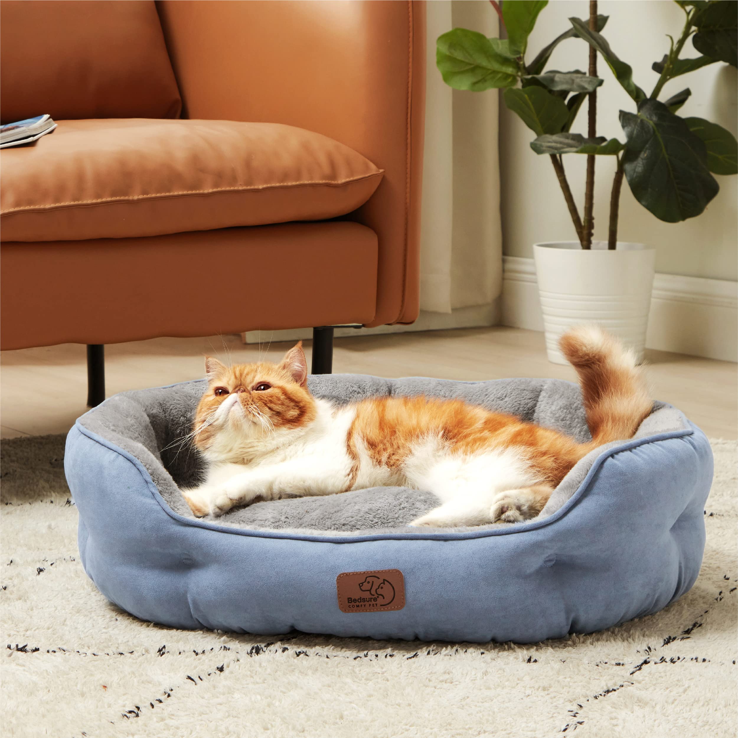 Bedsure cama para gatos y perros pequeños uso interior cómodo para mascotas.