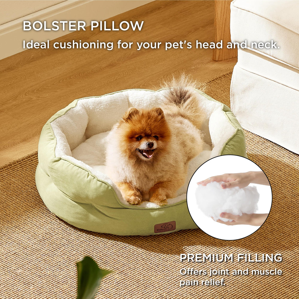 Bedsure cama para mascotas pequeñas, base antideslizante para suelos lisos