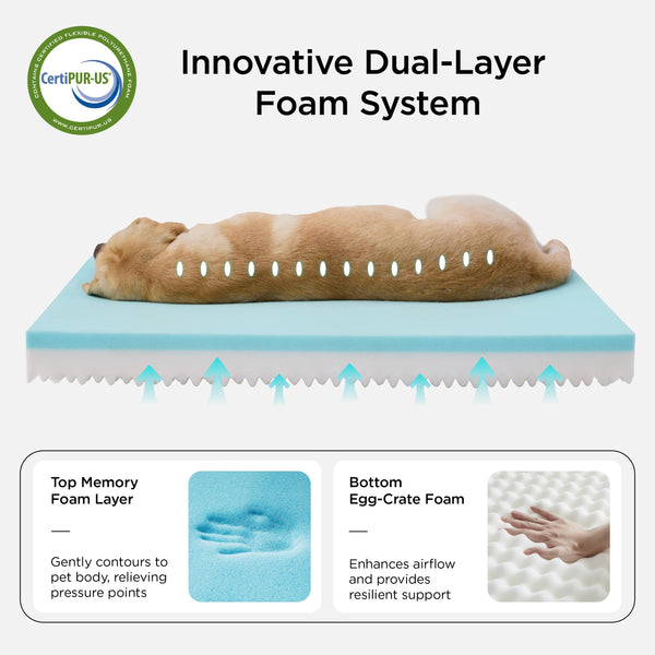 Bedsure cama para perro con base antideslizante para evitar deslizamientos.