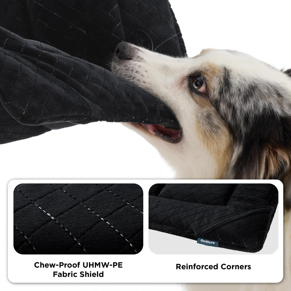 Bedsure capa interna UHMW-PE resistente, protege la base durante mordidas.