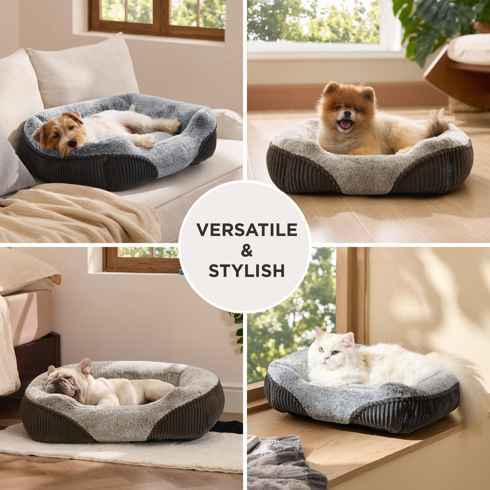 Bedsure cama para perros diseño moderno en tonos neutros para su hogar