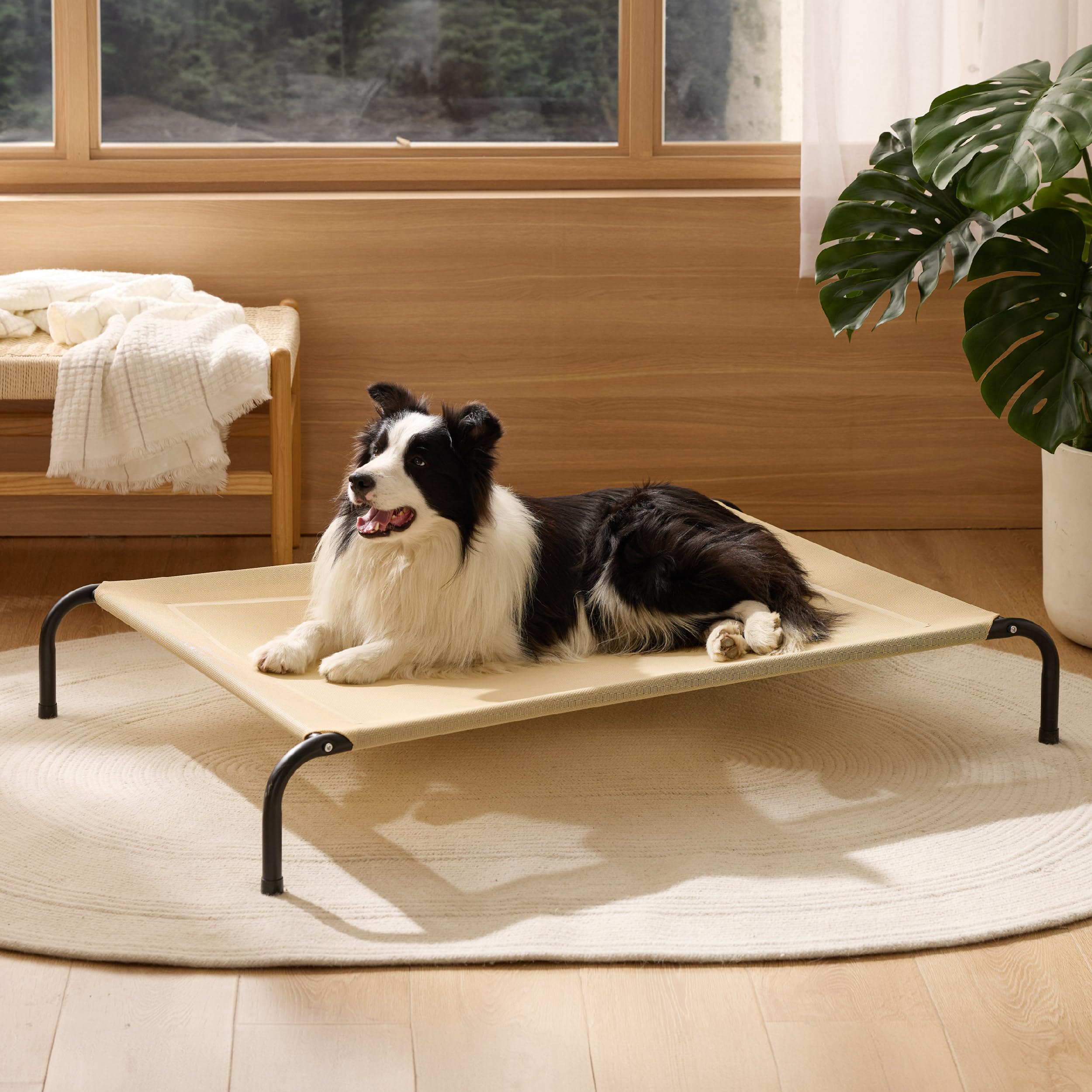 Bedsure cama para perros elevadas, uso interior y exterior versátil.