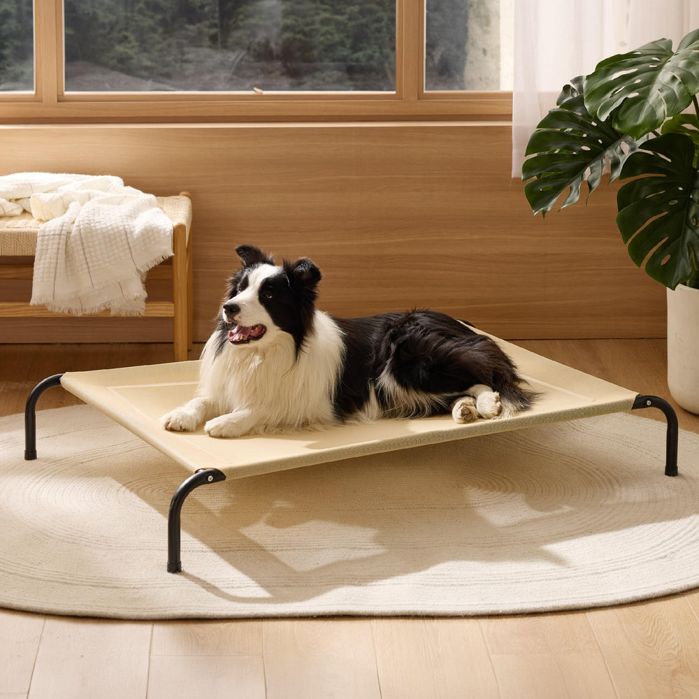Bedsure cama para perros elevadas, uso interior y exterior versátil.