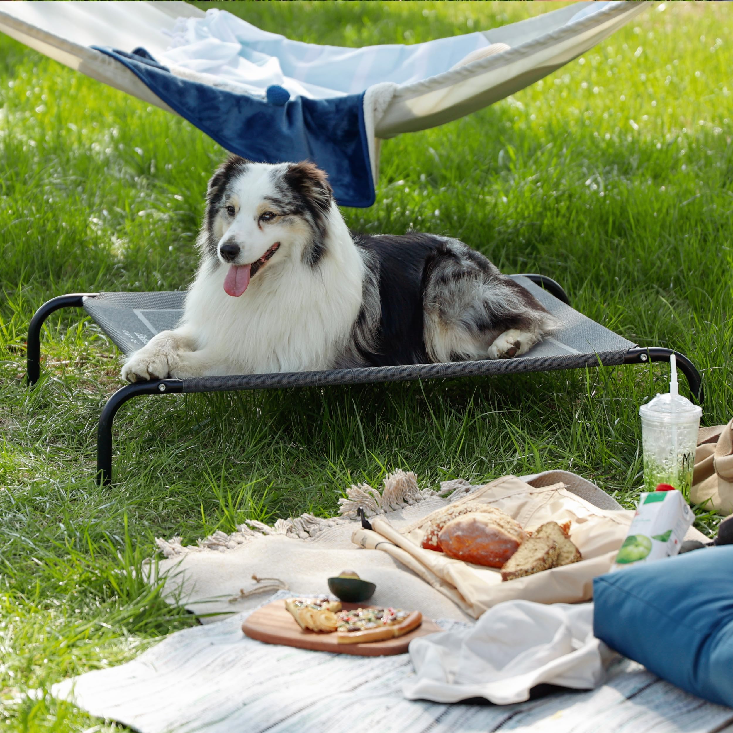 Bedsure Cama para Perro ensamble rápido, montaje sencillo para viaje