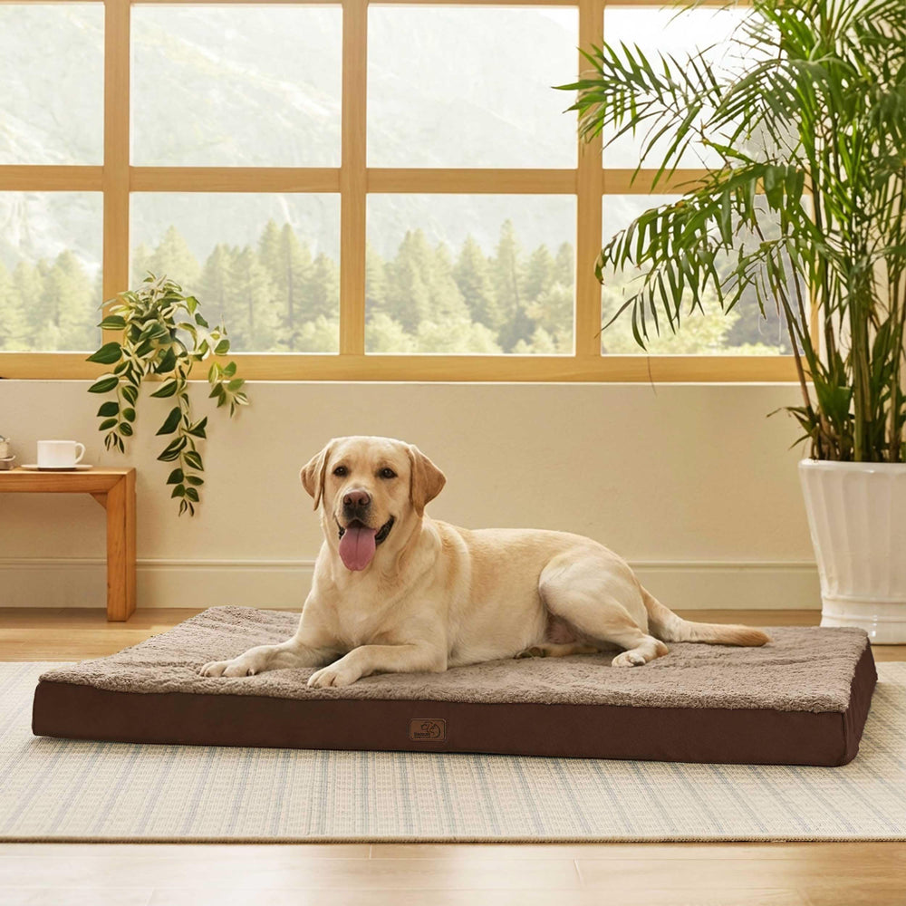 Bedsure cama gigante para perro, vista frontal, descanso cómodo
