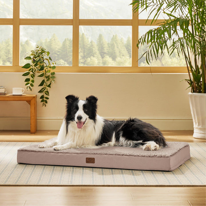 Bedsure cama para perro grande, vista general para dormir cómodo y estirarse.