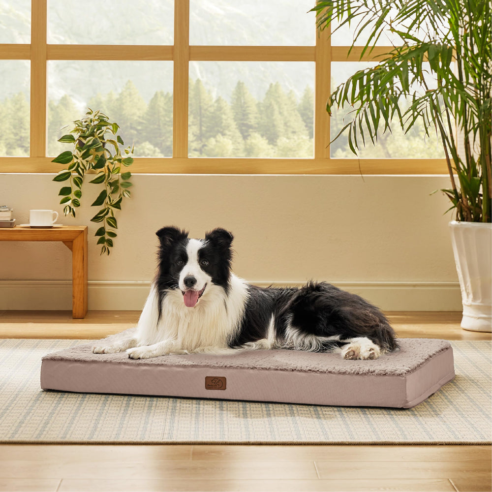 Bedsure cama para perro grande, vista general para dormir cómodo y estirarse.