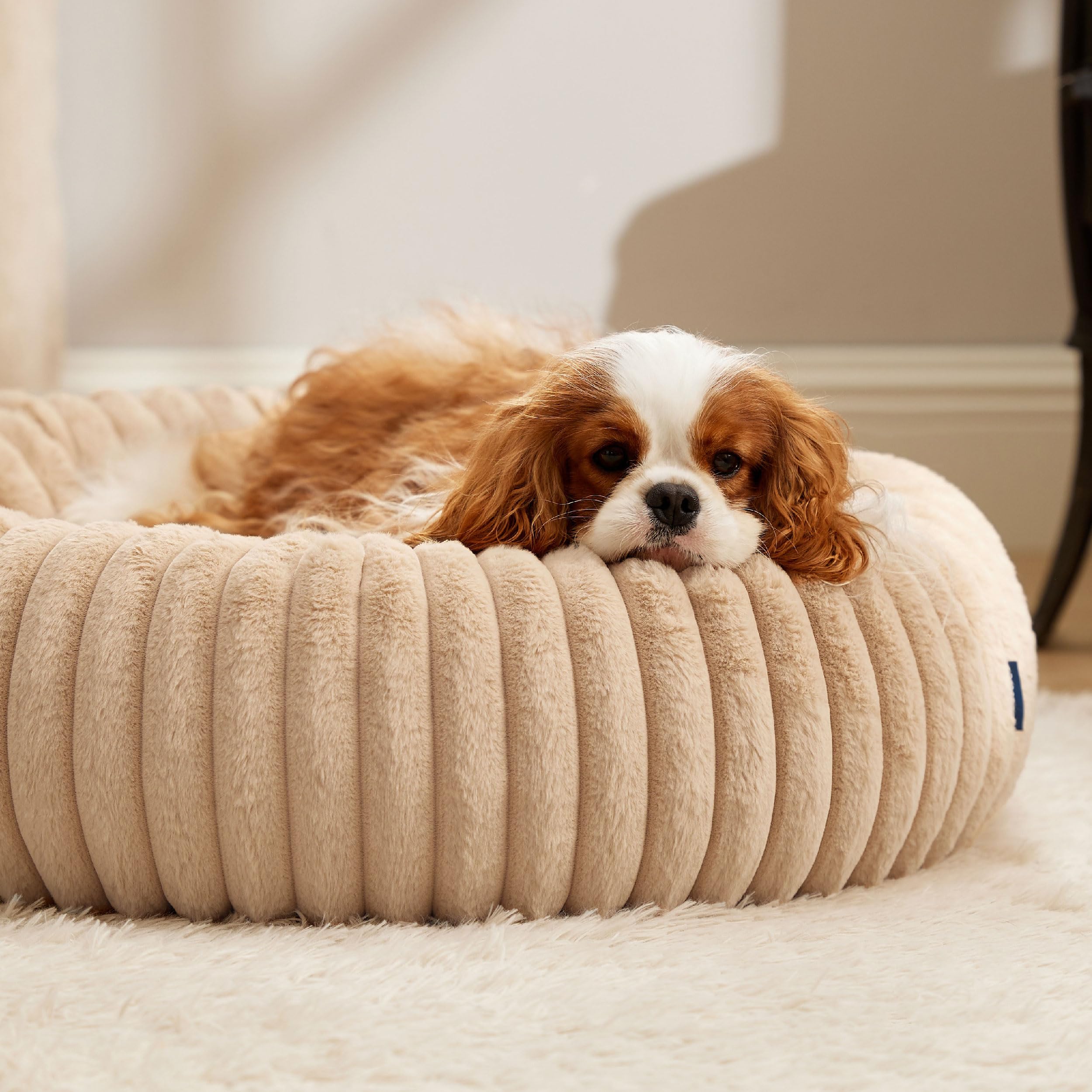 Bedsure cama para perros ronda en suave arena beige para combinar con interiores.