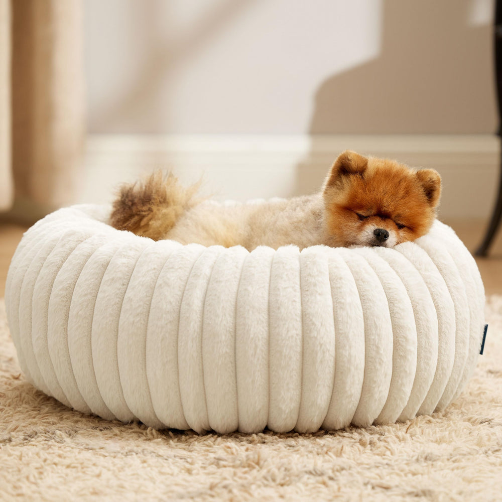 Bedsure Ambiente acogedor para otoño e invierno, ideal para relajarse.