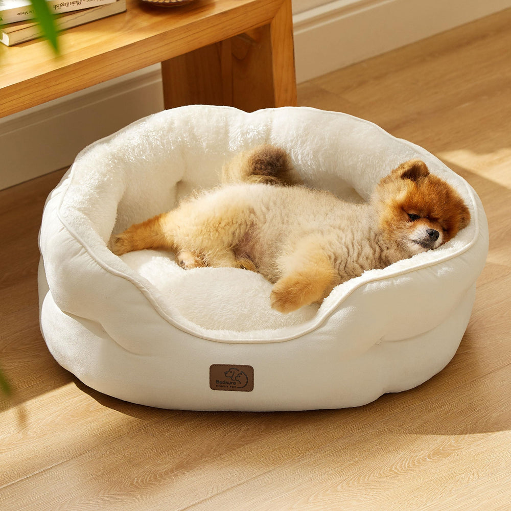 Bedsure cama para perro pequeño con superficie mullida para mayor confort.