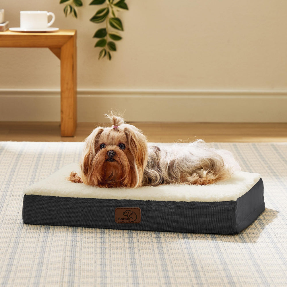 Bedsure apta para perros pequeños y gatos de hasta diez libras.