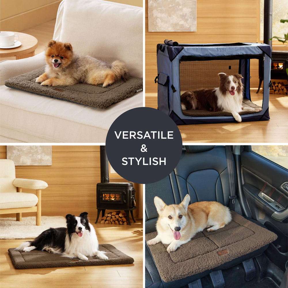 Bedsure cama para perros portátil y ligera para movilidad