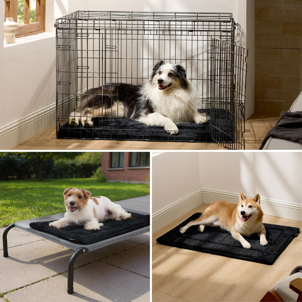 Bedsure uso diario resistente, ideal para perros activos.