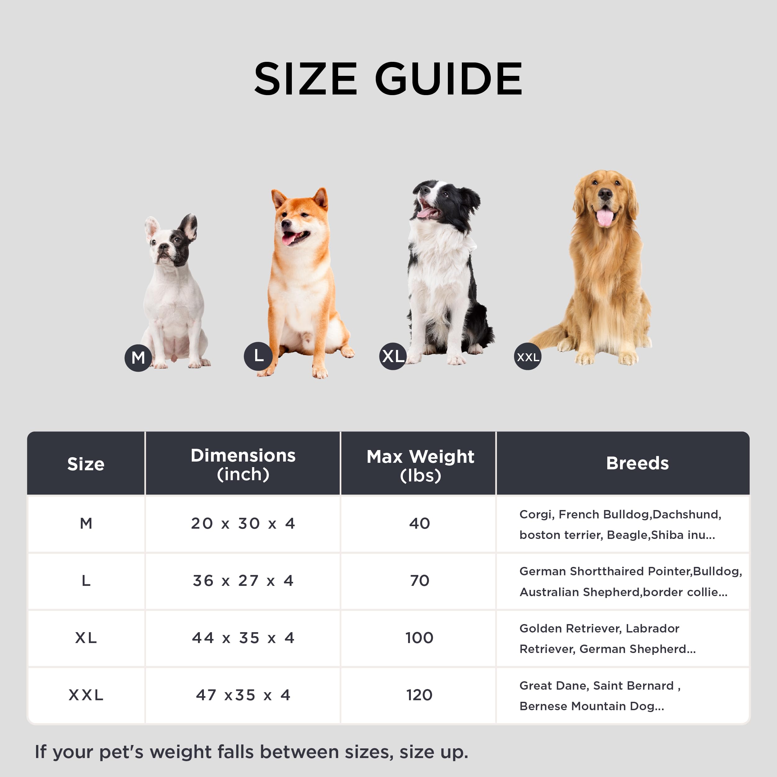Bedsure cama perro XL, forma plana y fácil de almacenar.