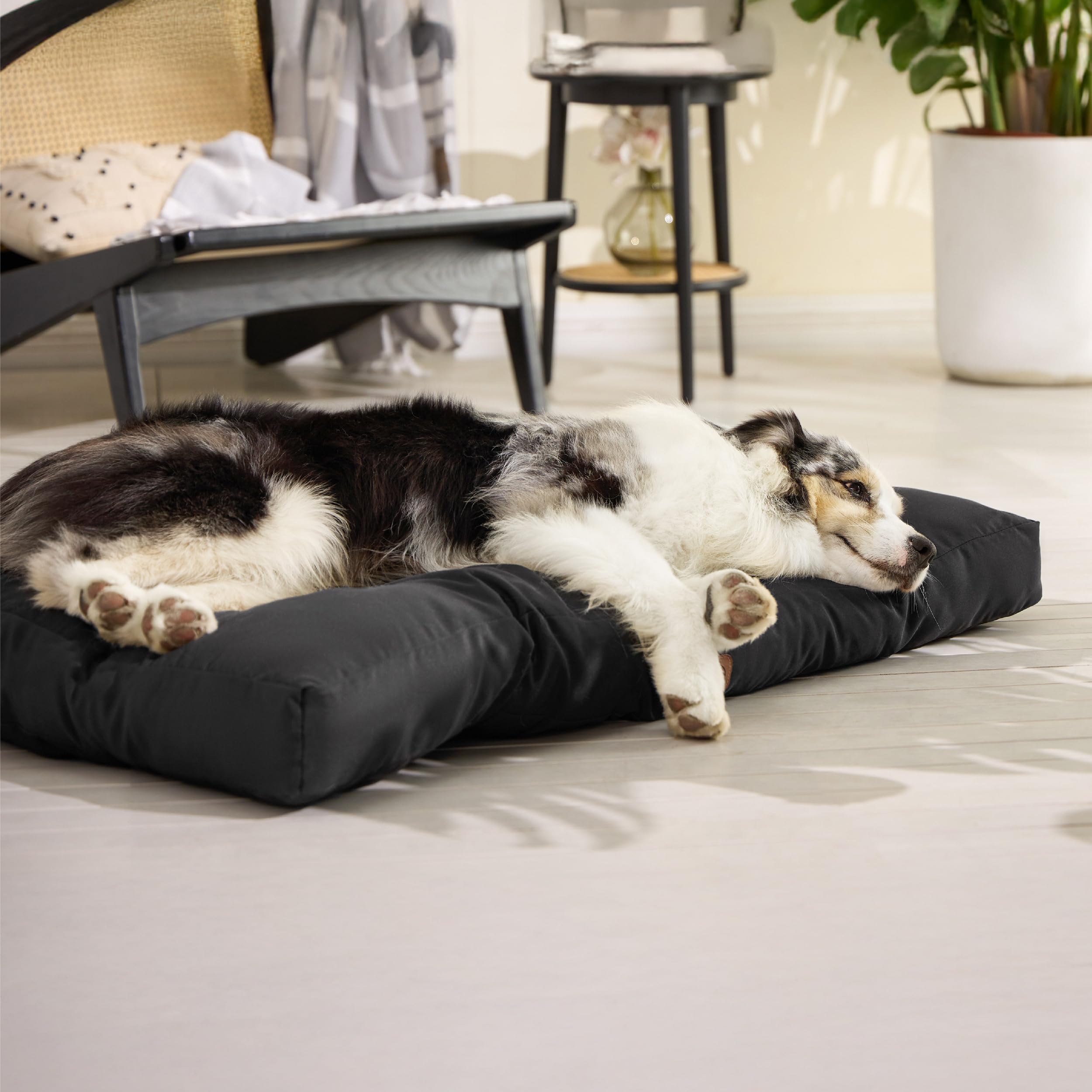 Bedsure cama perro XL, disponible en tres tallas.