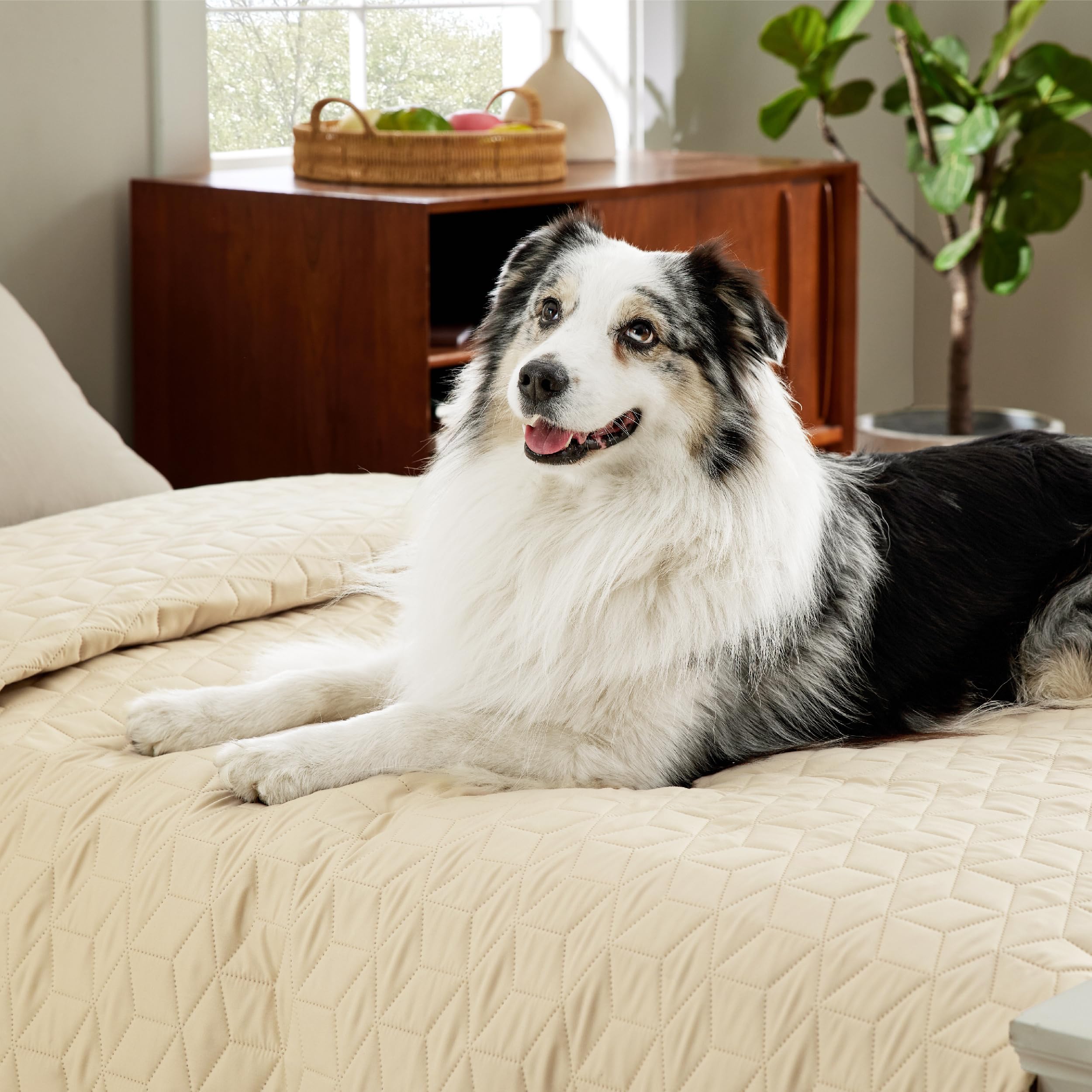 Bedsure cobertor muebles uso diario, estilo beige y práctico