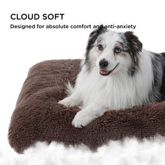 Bedsure Correa lateral facilita traslado de la cama para mascotas.