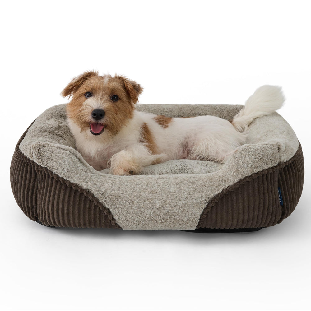 Bedsure cama de 25x21x7 pulgadas para perros pequeños.