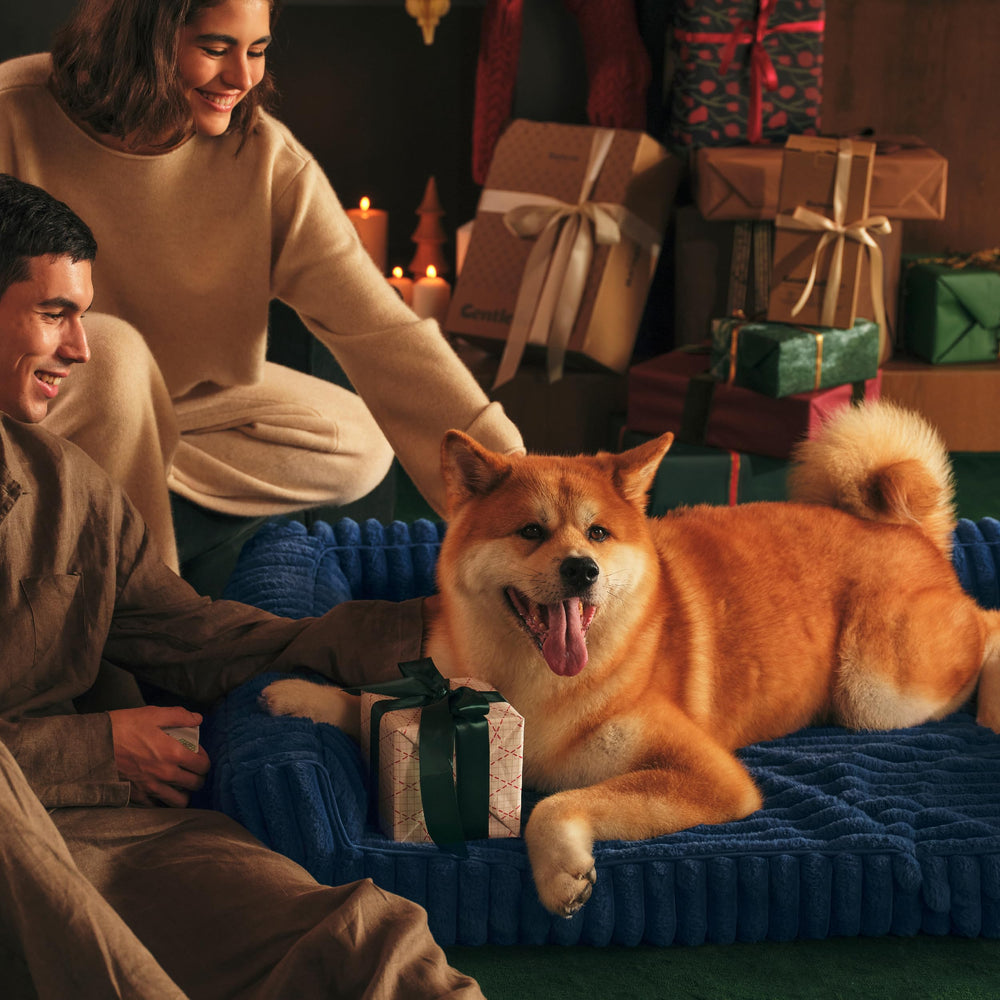 Bedsure diseño-azul-moderno: estilo hogareño para perros grandes.