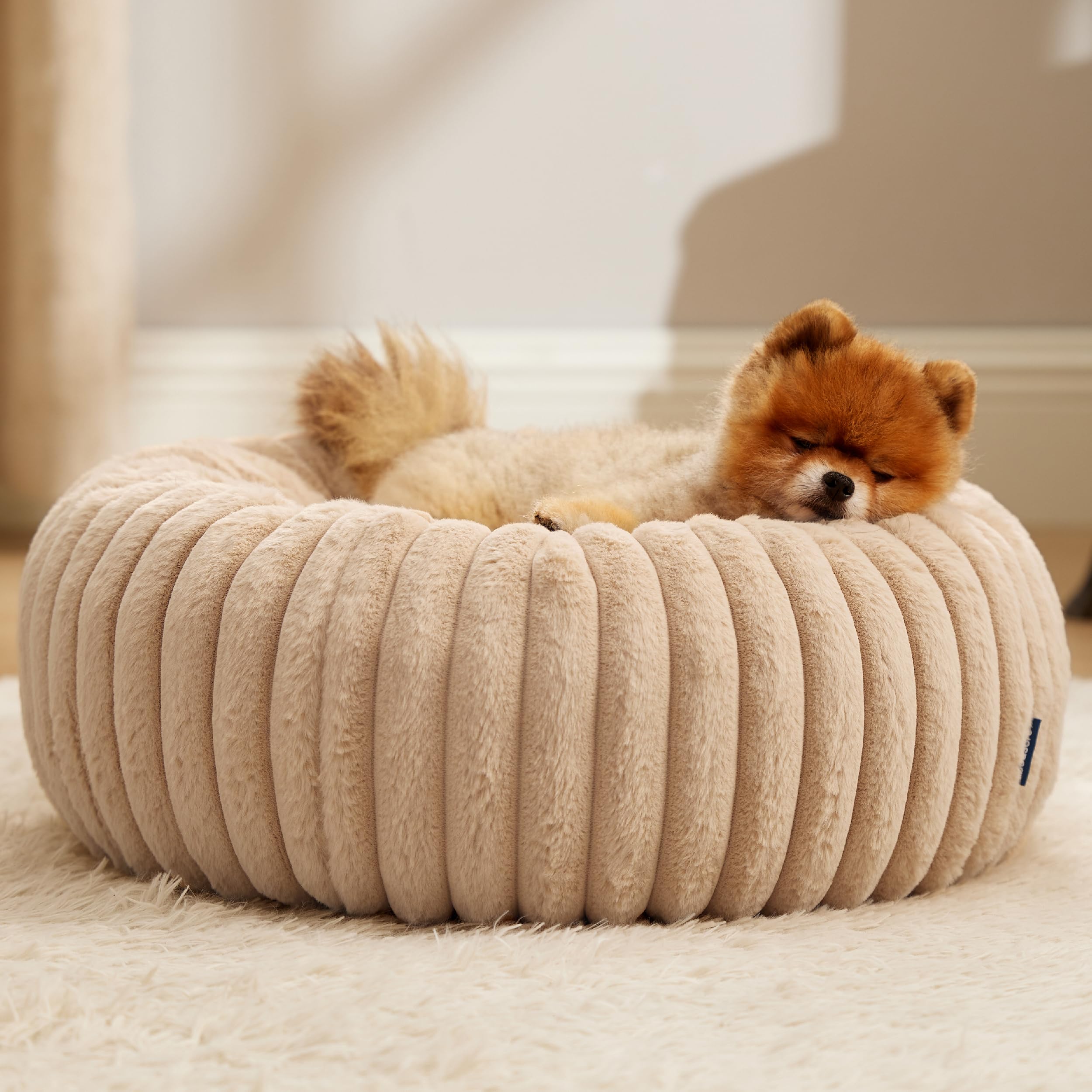 Dimensiones 23x23x7 pulgadas para perros pequeños y cachorros