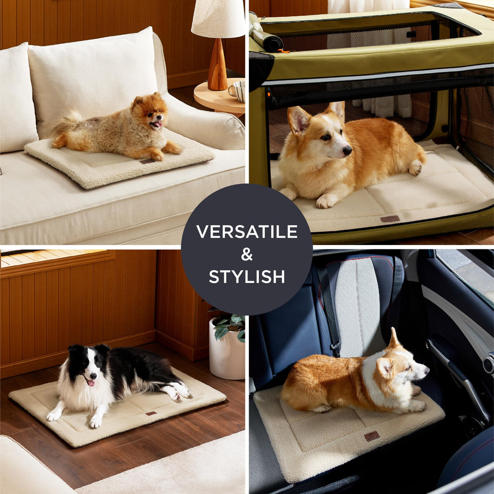 Bedsure espuma de alta densidad en colchoneta para perro XL, soporte cómodo.