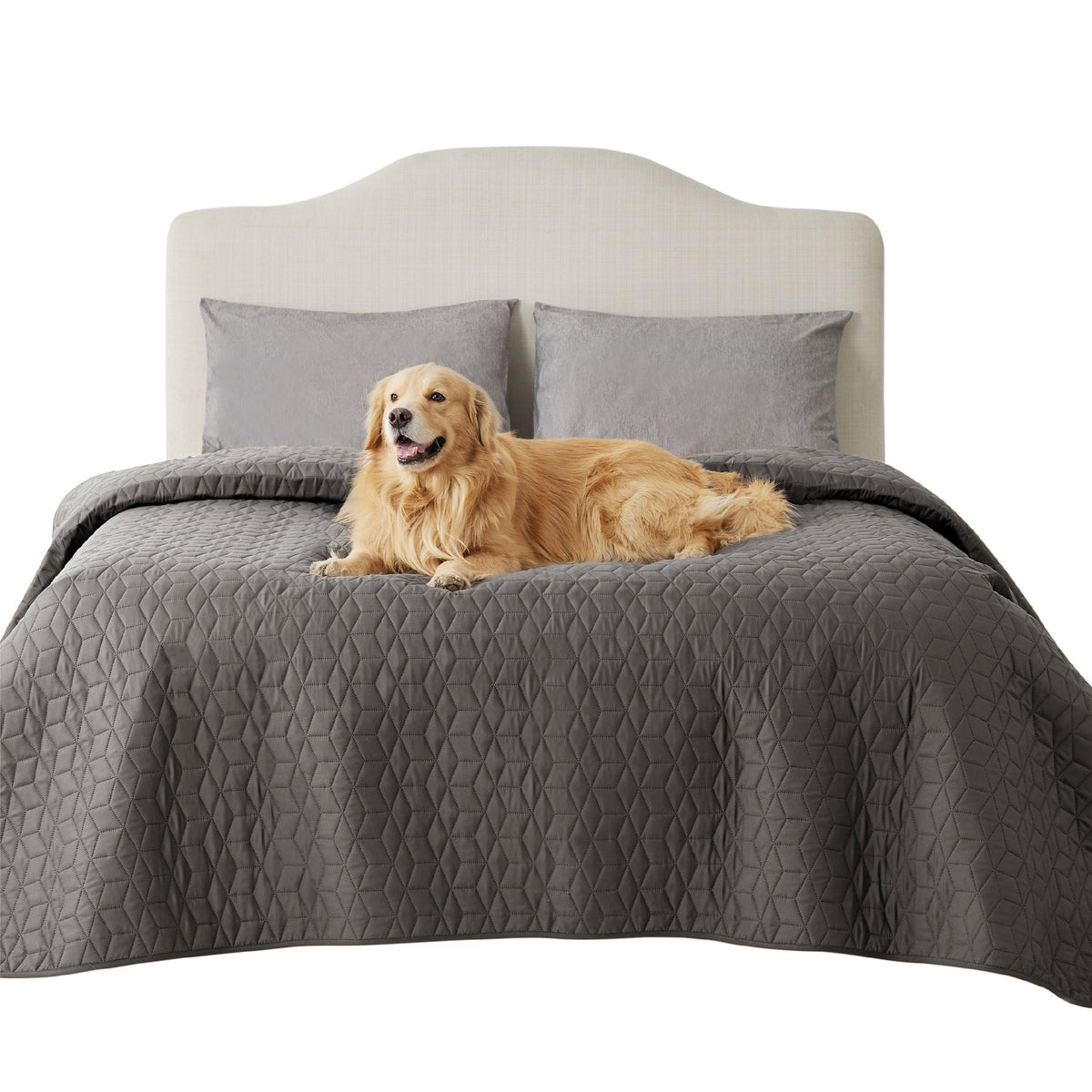 Bedsure funda impermeable para perros en sofá, protege contra manchas y arañazos.