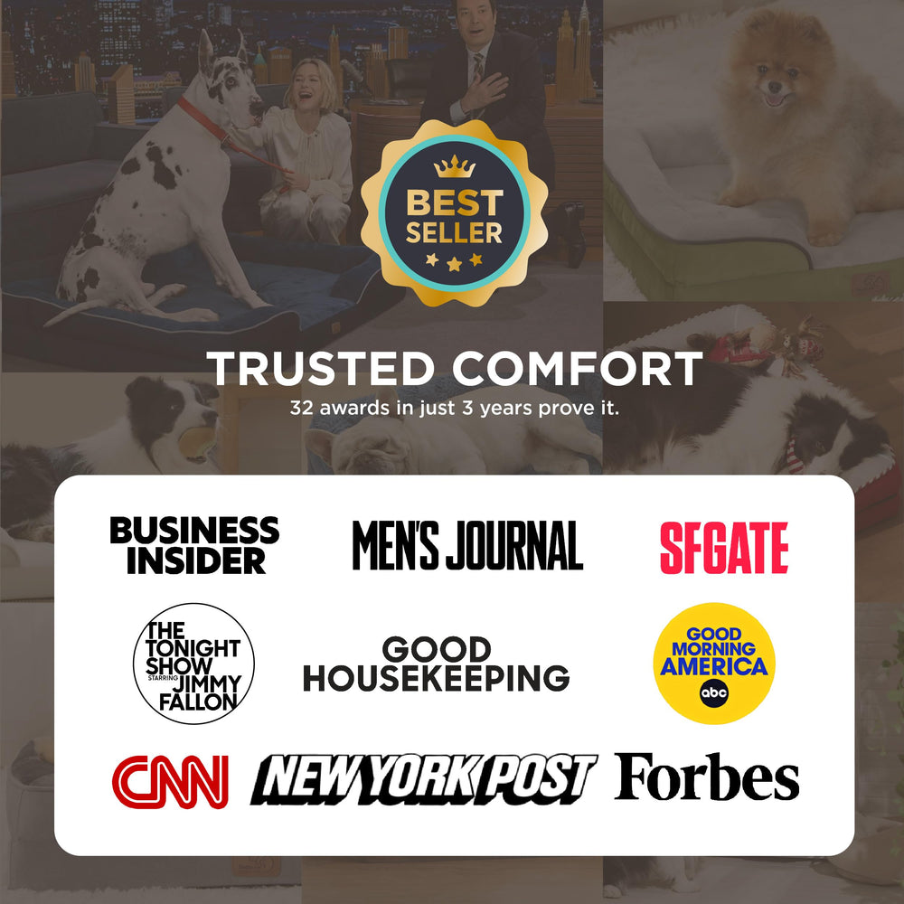 Bedsure funda removible y lavable para cama de perro